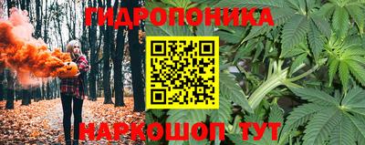 a pvp Апрелевка