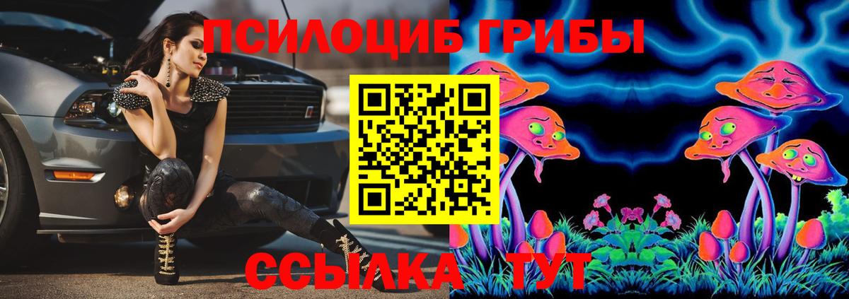 Галлюциногенные грибы Psilocybe  Вход с VPN  Белая Калитва 