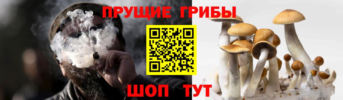 Меф кристаллы  Каннабис  Белая Калитва  Вход с VPN  Cocaine  MDMA 